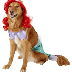 Dog mermaid costume Halloween